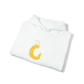 Heavy Blend Hoodie