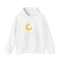 Heavy Blend Hoodie